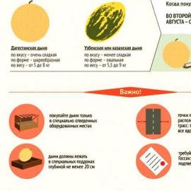 ما البطيخ الذي يباع لنا وكيفية تحديد نضجه