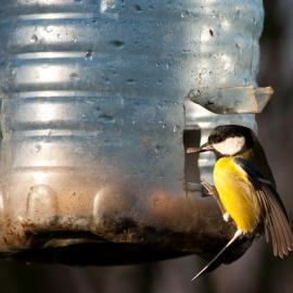 كيفية صنع وحدة تغذية الطيور بيديك: أفكار أصلية وغير عادية