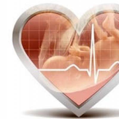妊娠初期の心拍によって赤ちゃんの性別を判断する-信じられないかもしれませんか？