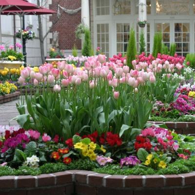 Allround-Gartenkompositionen: Blumenbeete und Blumenbeete